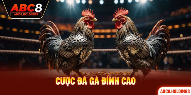 Cược đá gà đỉnh cao